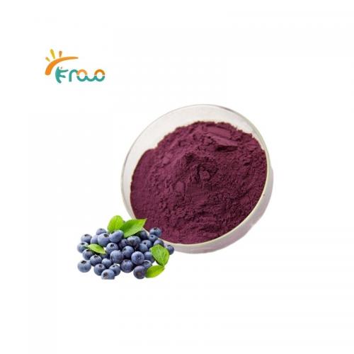  Blueberry Extract Powder proveedores