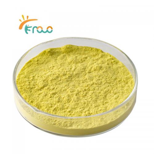  100% Organic Ginger Powder Best Price Ginger Extract Powder for Food & Beverage proveedores