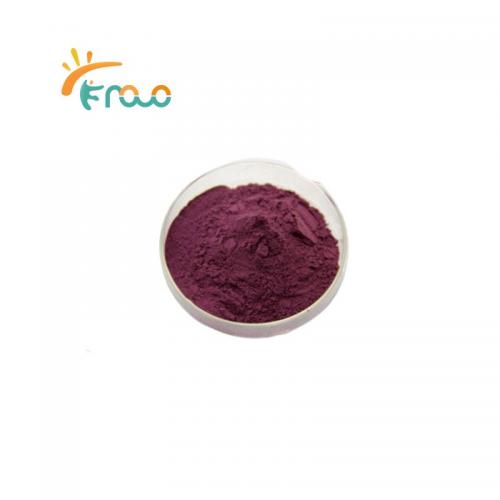  Beet Root Powder proveedores