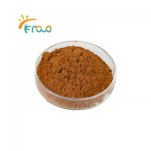  Lion's Mane Mushroom Extract Powder proveedores