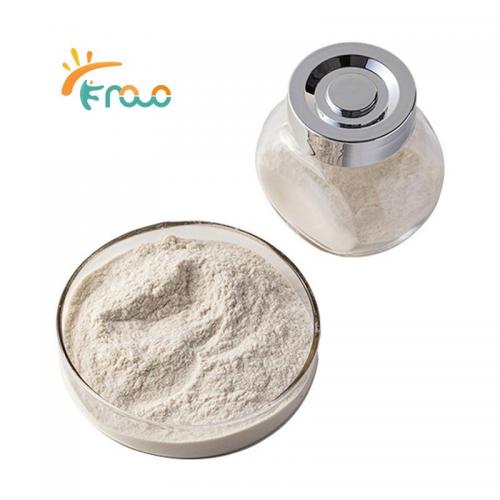  High Density Chitosan Powder proveedores
