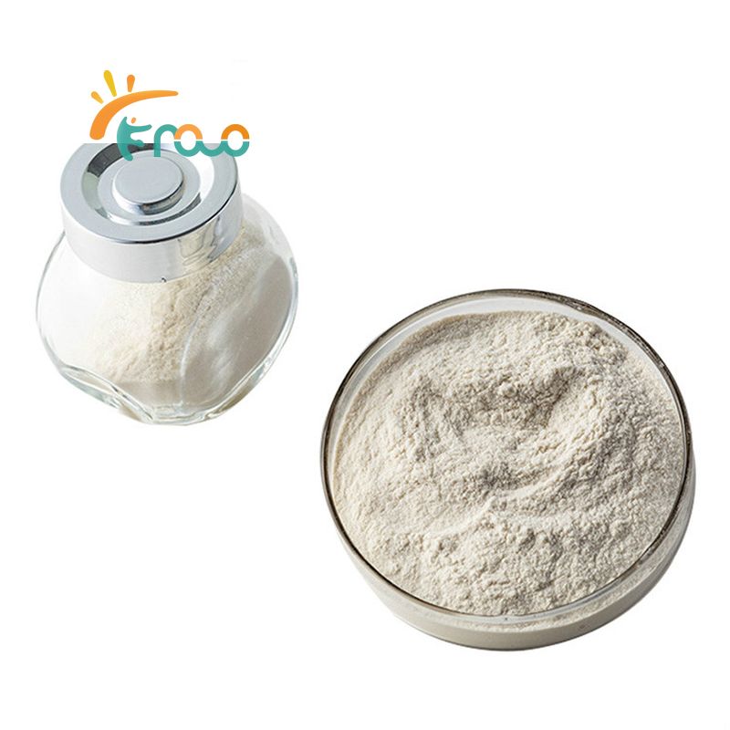 Descripción general del mercado de proteína de soja en polvo