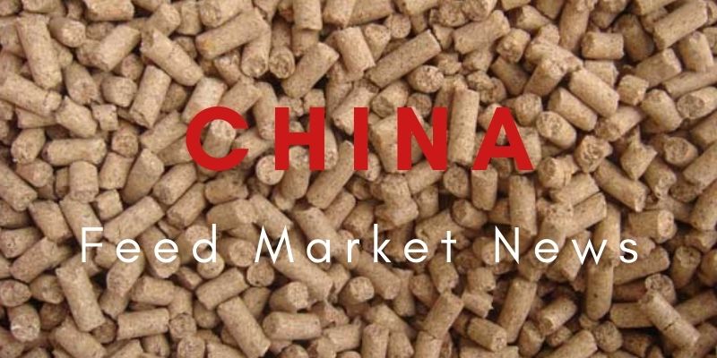 Noticias del mercado de piensos de China: análisis del mercado de exportación de lisina en septiembre de 2021